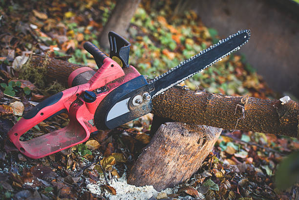 Best Seasonal Cleanup (Spring/Fall)  in Purdy, WA